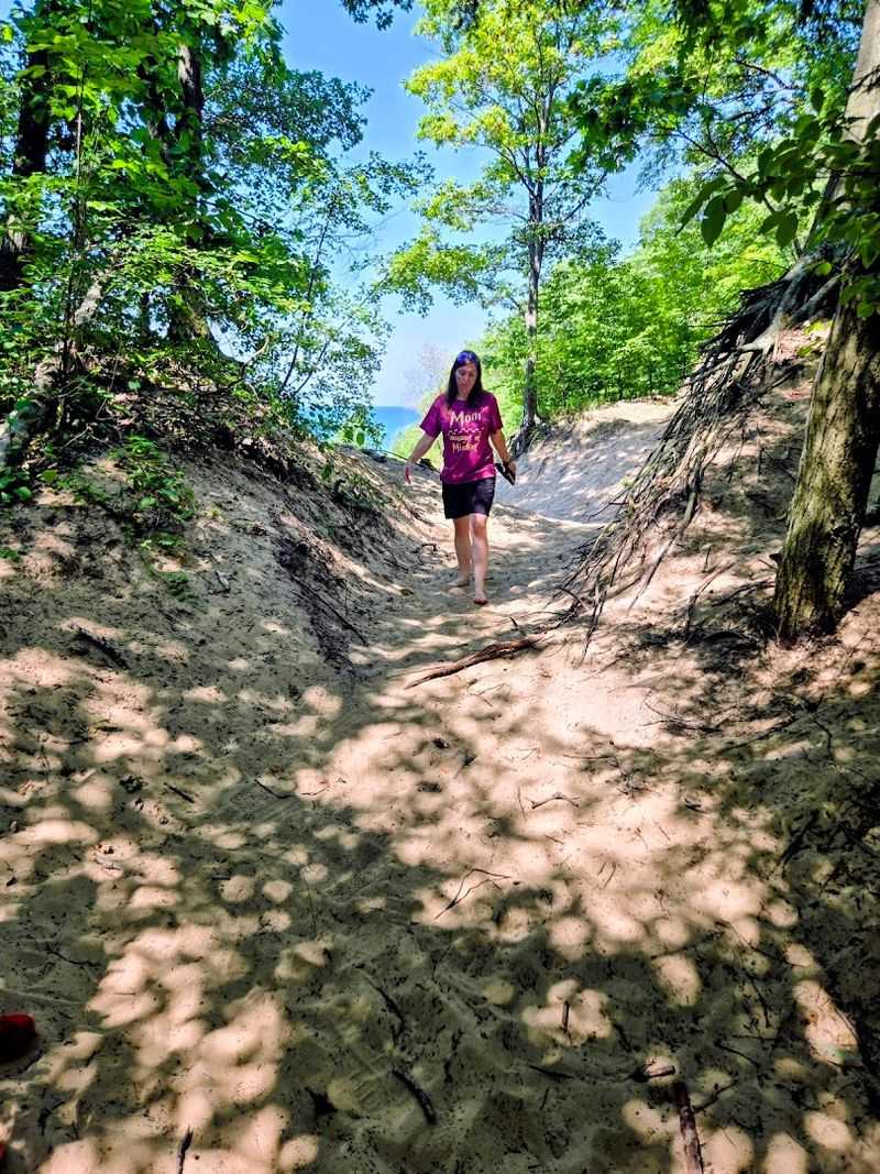 Woodland Hiking Trails