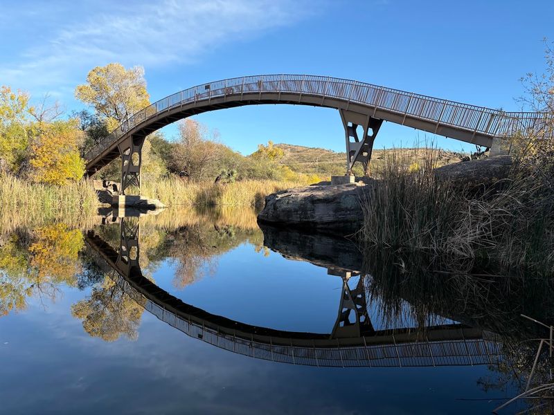 Marina, Rentals, and That Photogenic Night Bridge