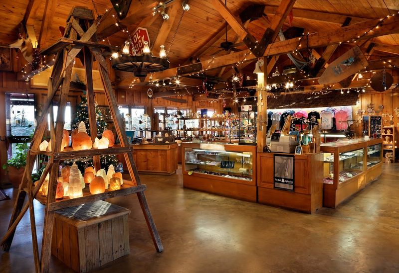 The Gift Shop, Homemade Fudge, and Socks the Cat