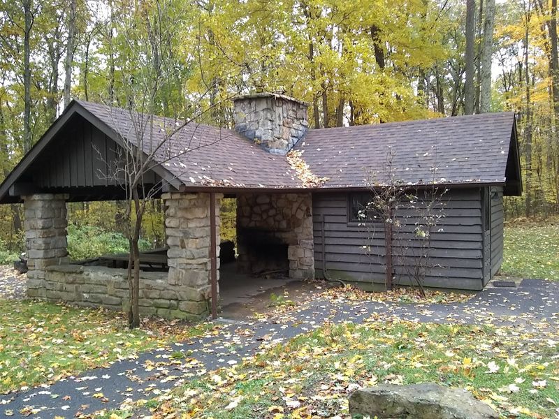 Cabins for a Cozy Nature Retreat