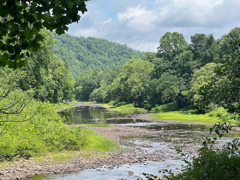 Access Points, Parking, and Shuttles