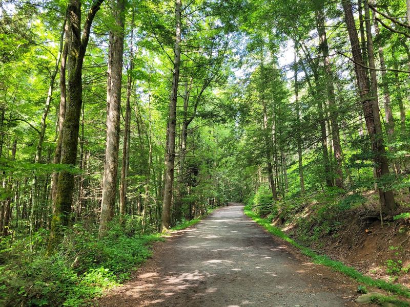 Backpacking Into the Backcountry for True Solitude