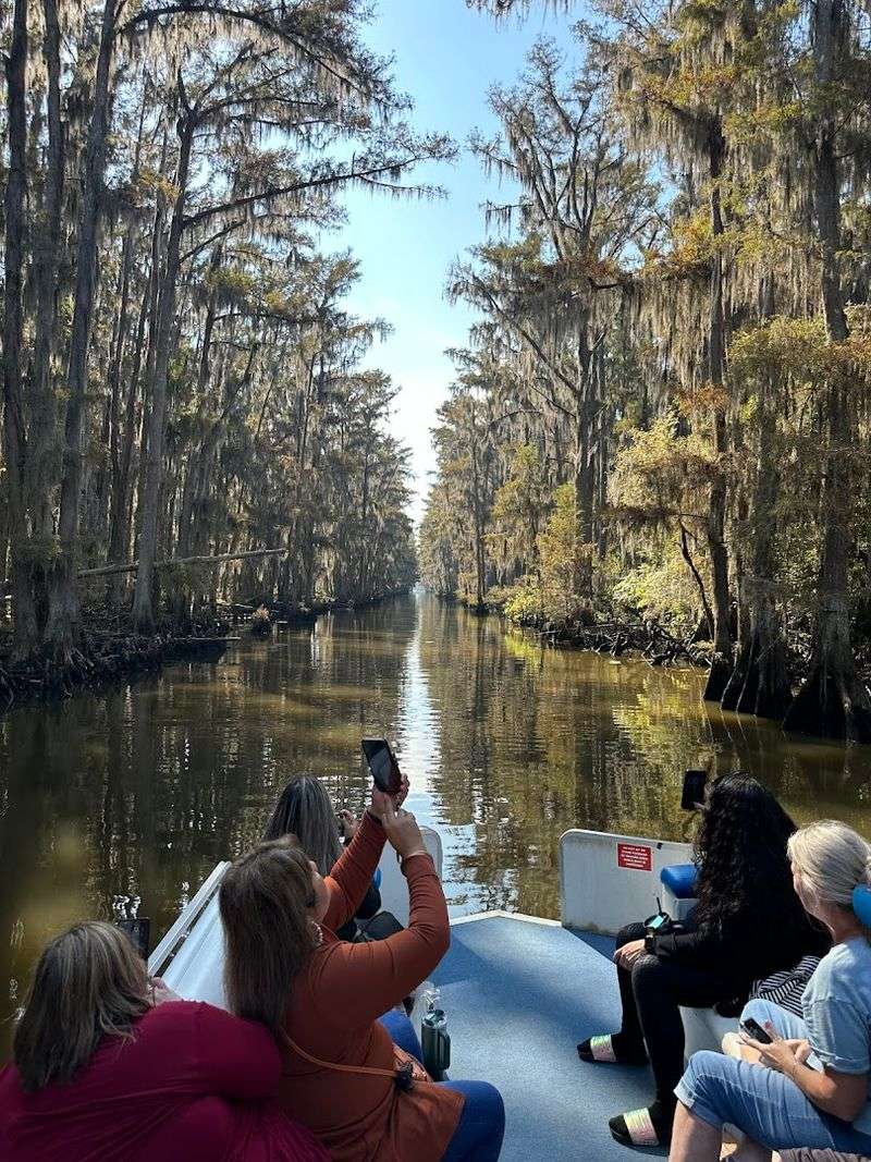 Exploring the Big Cypress Bayou by Boat
