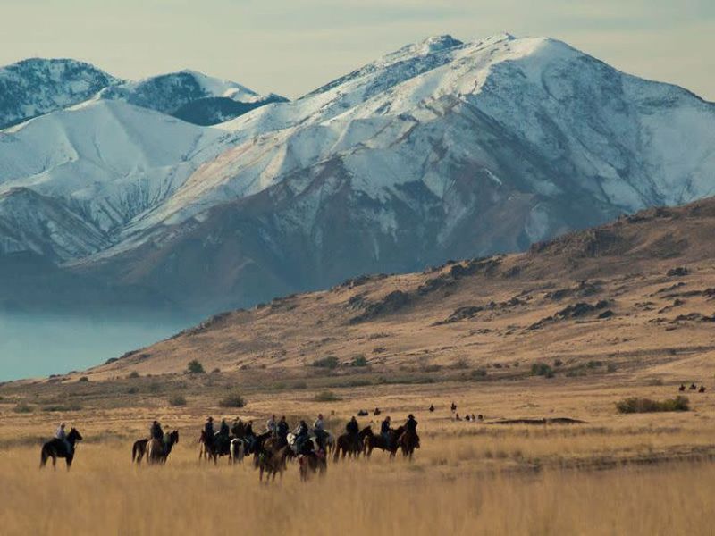 Spot Wildlife at Antelope Island State Park