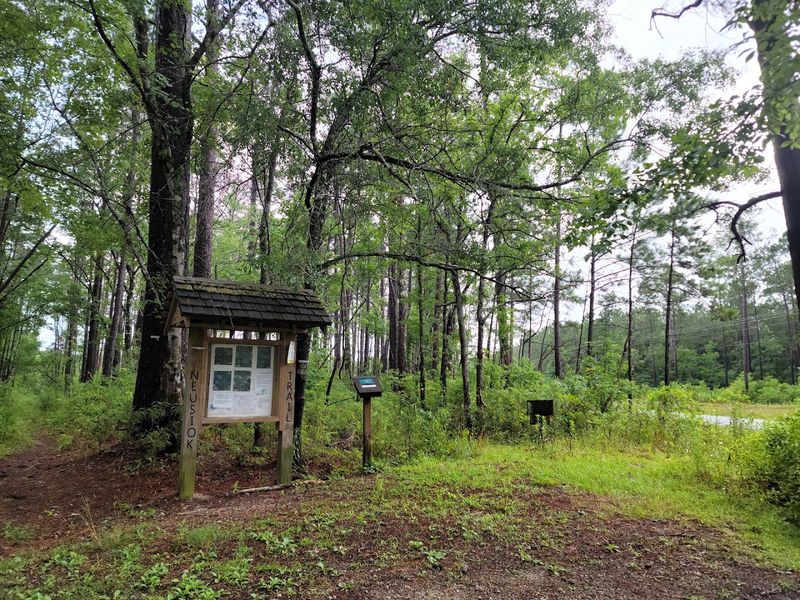 Neusiok Trail (Croatan National Forest)