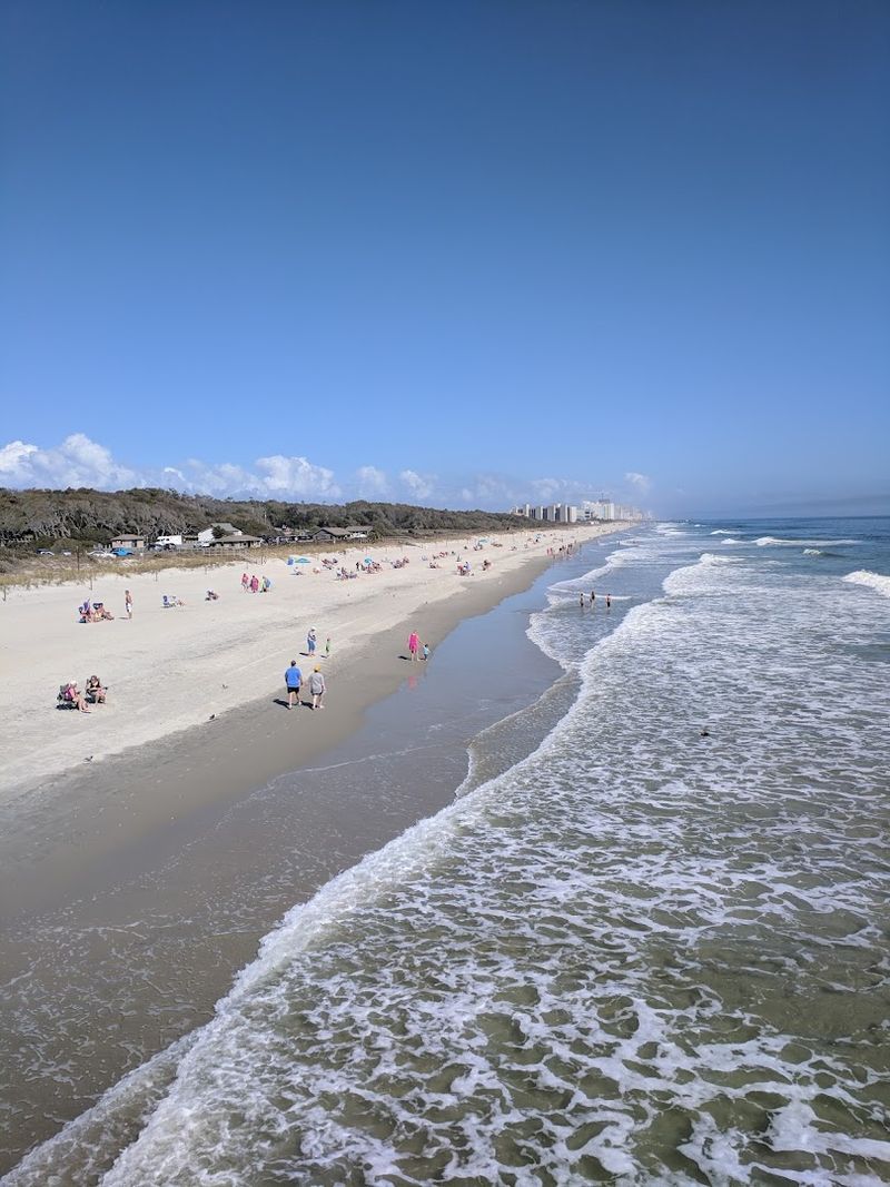 Myrtle Beach State Park Campground &mdash; South Carolina
