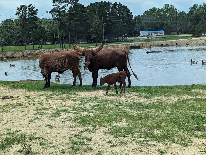 Pricing, Hours, and Practical Visit Tips