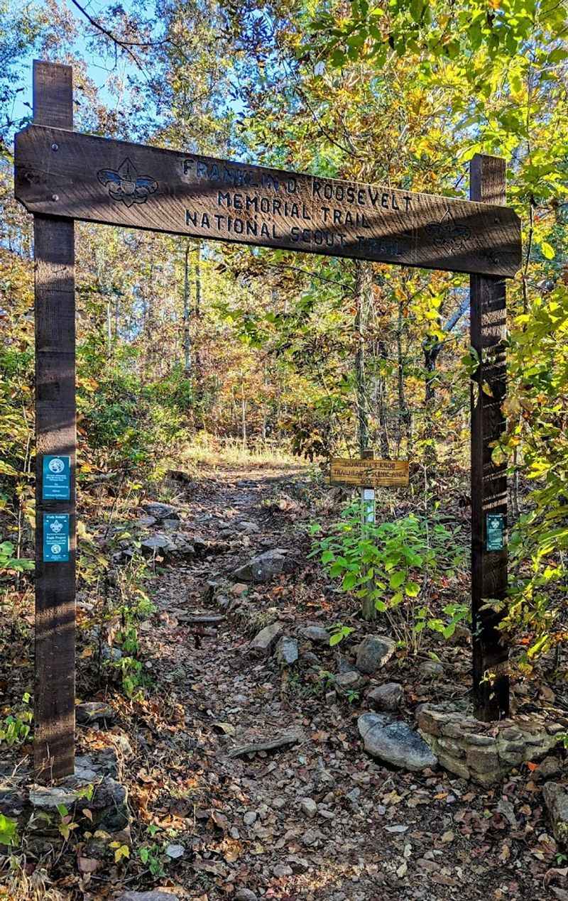 Quiet Forest Roads And Scenic Drives