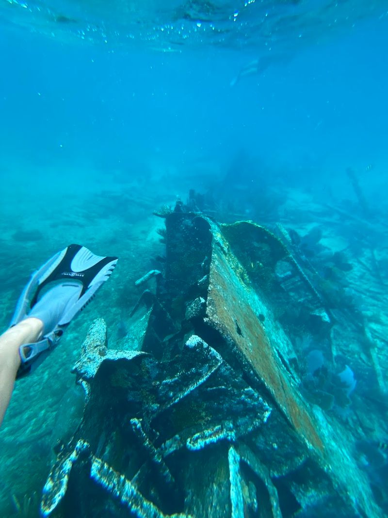 Stripping of the Wreck: Looters and Salvage