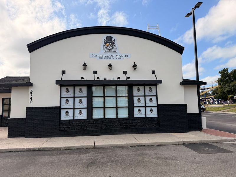 Location Near Disney World and Orlando Attractions