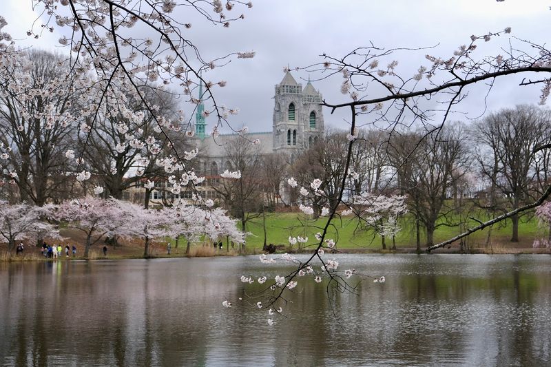 The Two Mile Soft Track