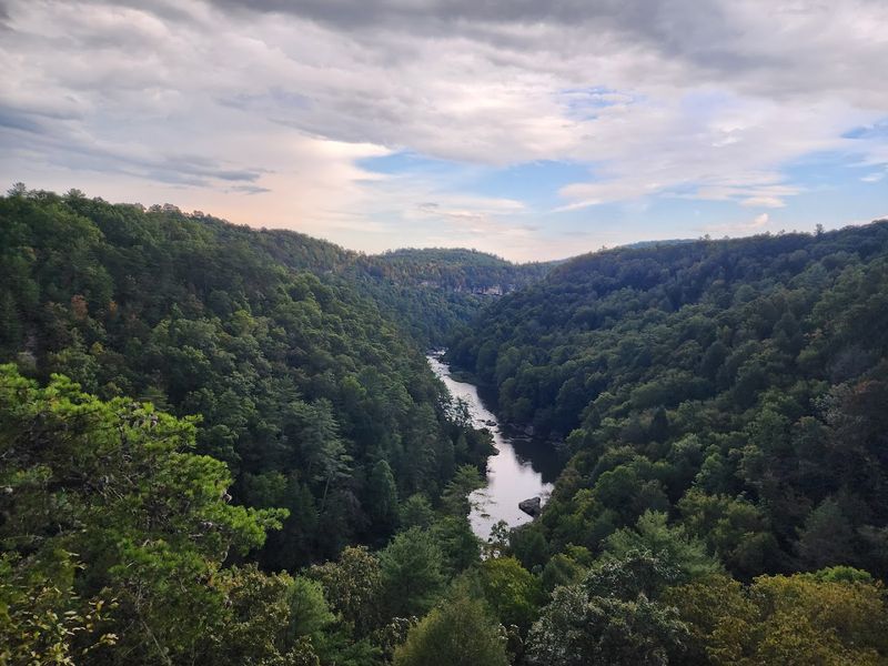 Climb Sandstone at Obed Wild and Scenic River