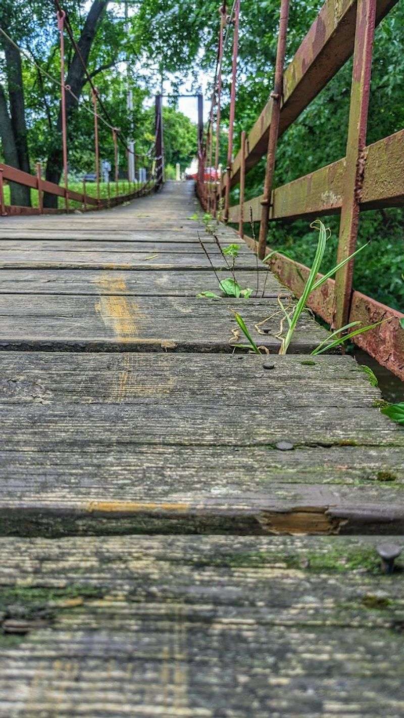 Butler Swinging Bridge (Butler)