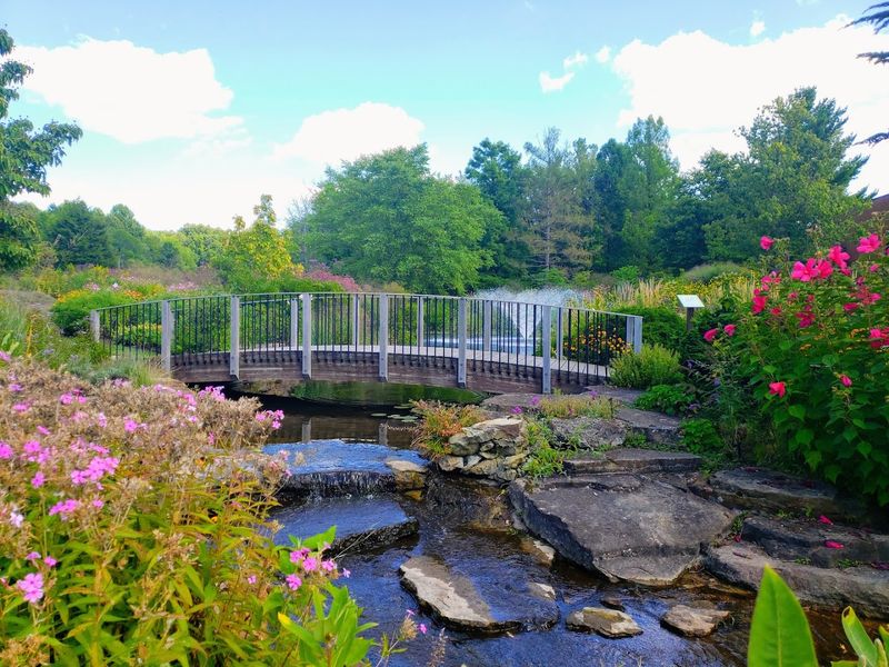 Walking the Paths to the Canopy Area