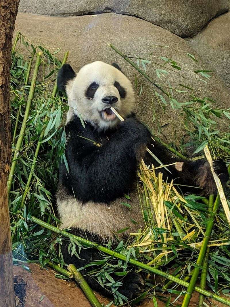 Memphis Zoo - Memphis, TN