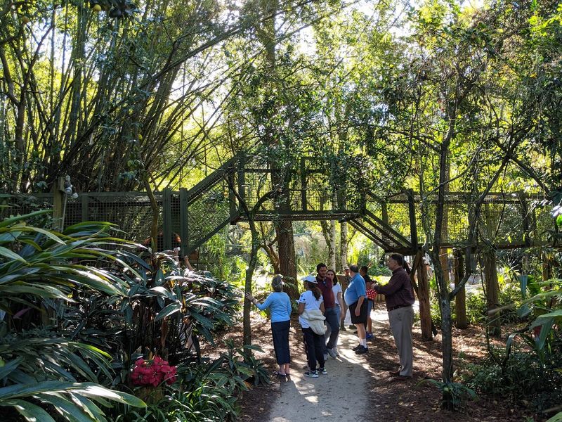 Center for Great Apes (Wauchula, Florida)