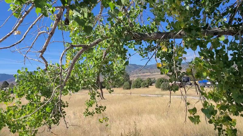 Hookups, Pads, and Site Setup Tips