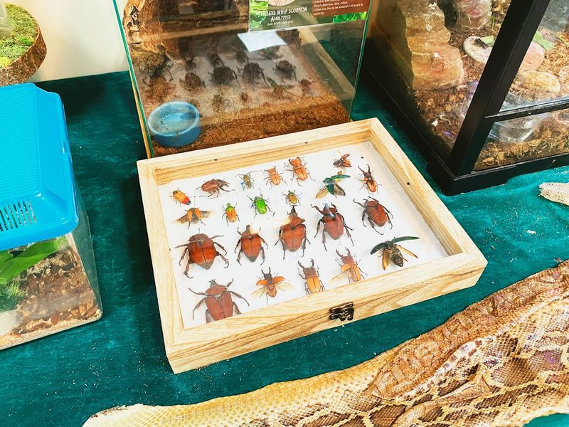 Planning Your Visit: Hours, Tickets, And Timing