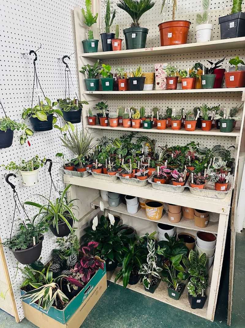 Day trip essentials and local logistics