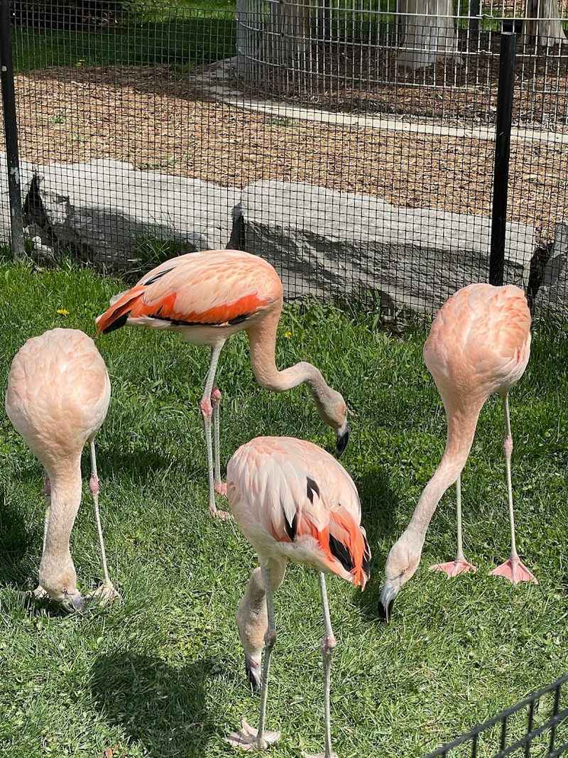 Seasonal Events and Private Encounters