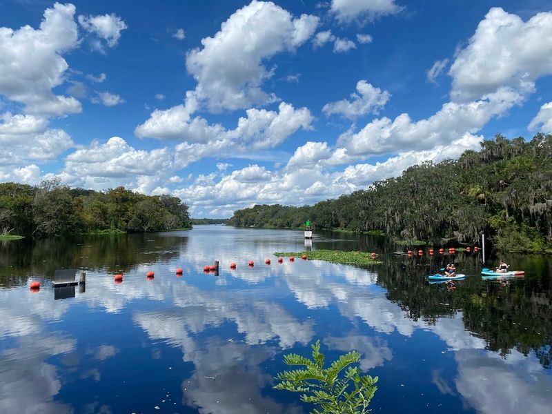 Blue Spring State Park Manatee Viewing