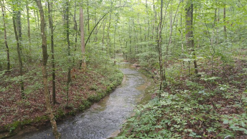 Bike the Natchez Trace Parkway near Leipers Fork