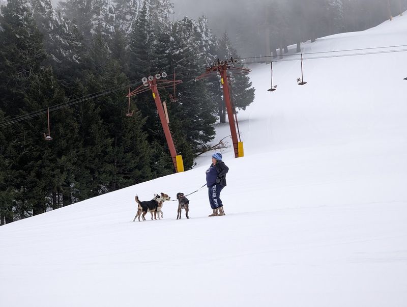 Backcountry Ski the Eastern Sierra