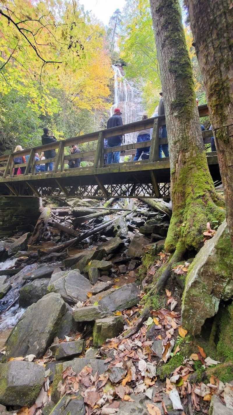 The Magical Viewing Bridge Experience