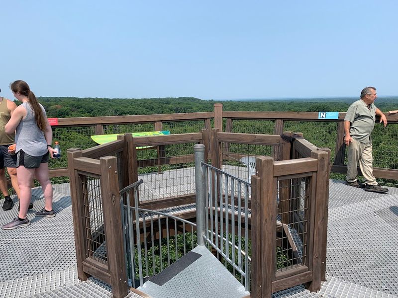 Taking in the Views from the Tower