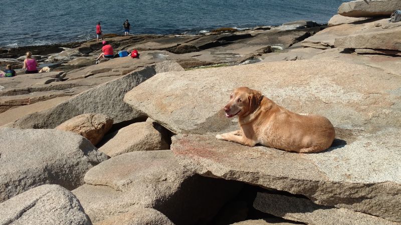 Having a Picnic on the Granite Ledges