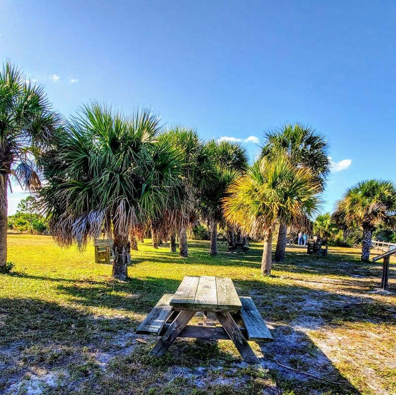 Perfect Picnic Spots With Shade