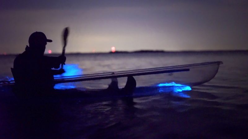 Bioluminescent Kayaking on the Banana River