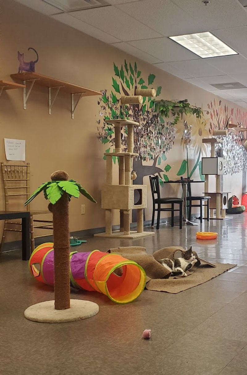 A Safe and Thoughtfully Designed Space for Everyone