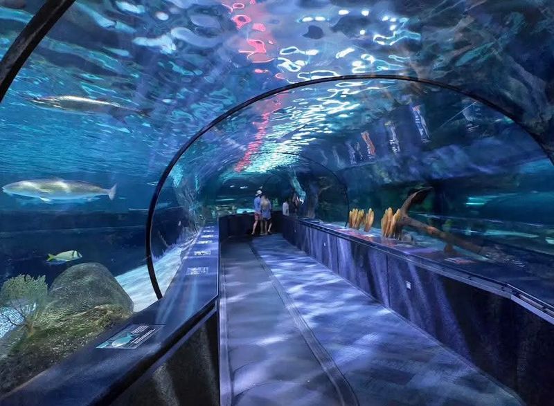 Ripley&rsquo;s Aquarium of Myrtle Beach, Broadway at the Beach