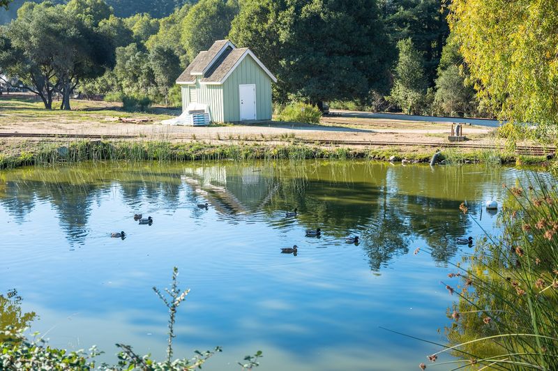 The Wildlife and Nature You Might Spot Along the Way