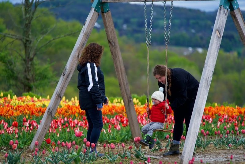 Connection to Local Agritourism