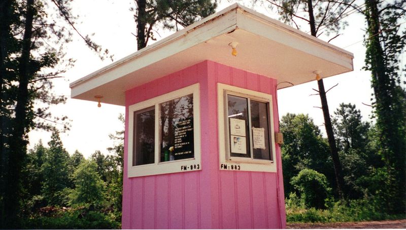 Family-Friendly Comforts