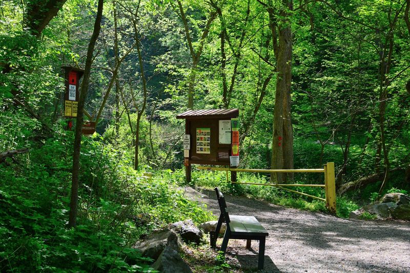 Birdwatching Opportunities That Will Surprise You