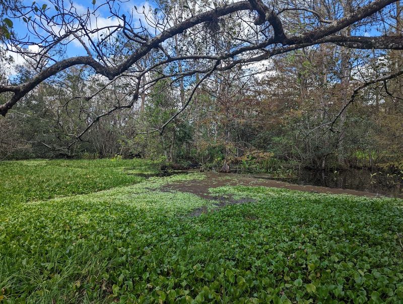 Essential Visitor Information for Planning Your Trip