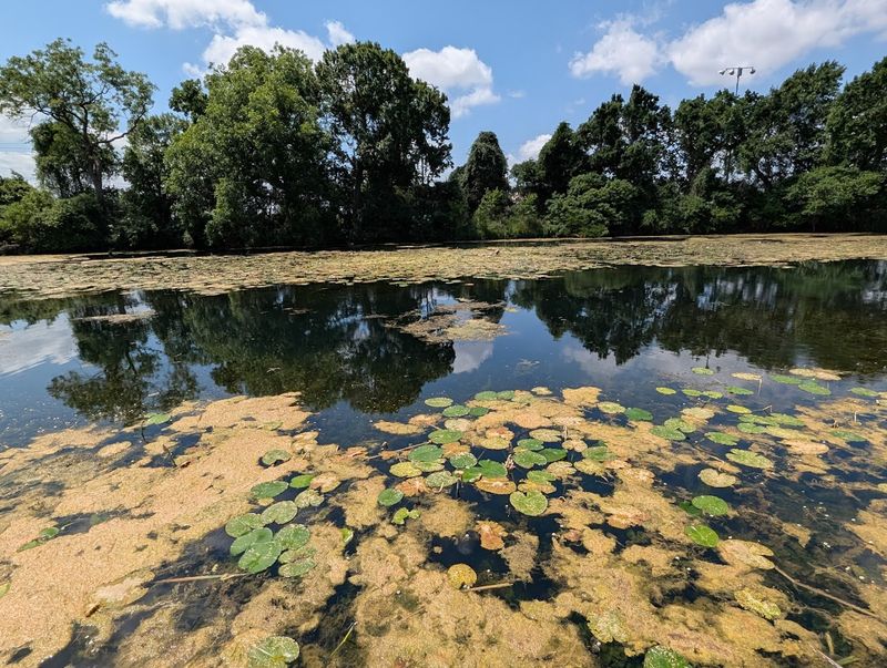 Seasonal and Weather Considerations