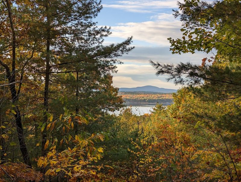 Woodland Trails and Scenic Hilltop Views
