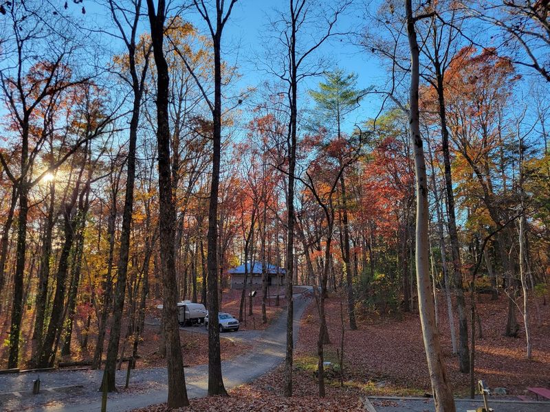 Camping Options From Tent Sites to Cozy Cabins