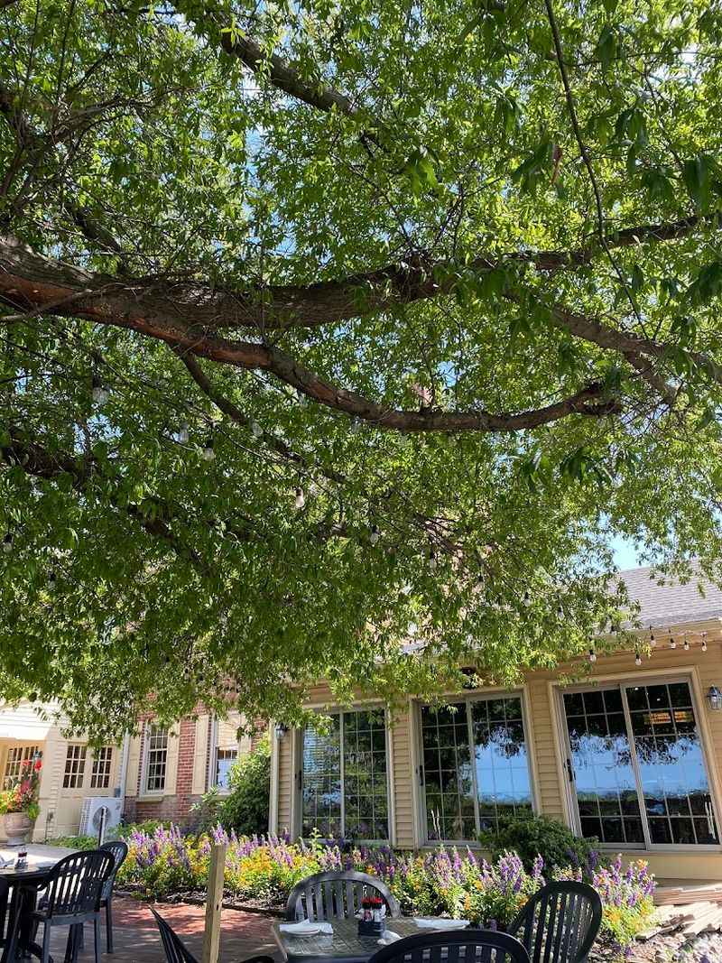 Outdoor Patio Dining When the Weather Cooperates