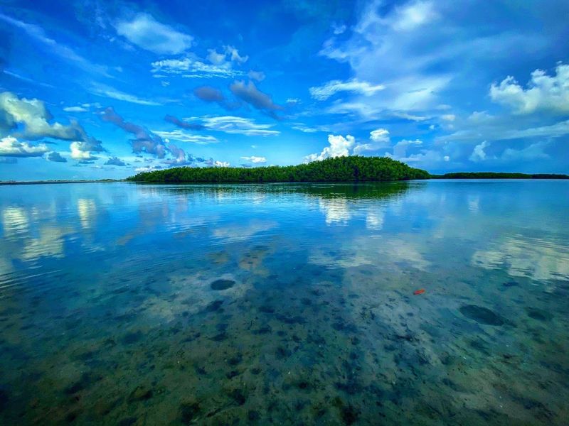 Ten Thousand Islands National Wildlife Refuge: Wild Florida at Its Finest