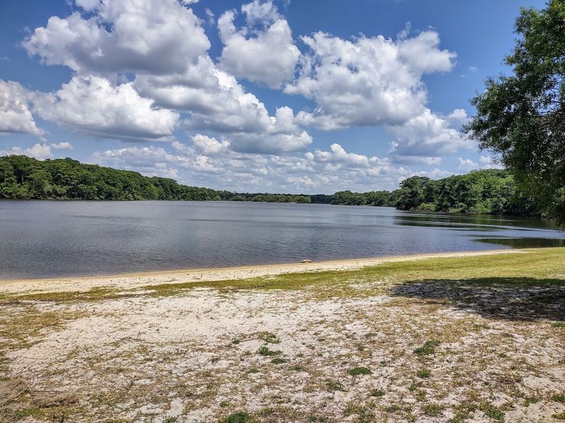 Withlacoochee River Views