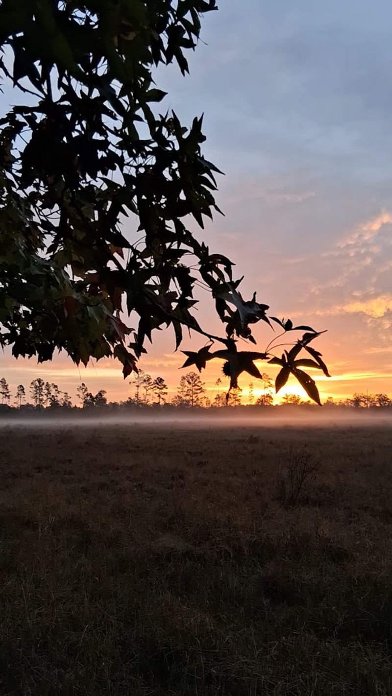 Jacksonville-Baldwin Rail Trail