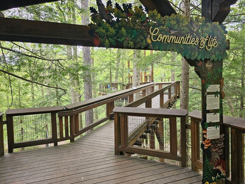 Pausing at the Observation Platforms