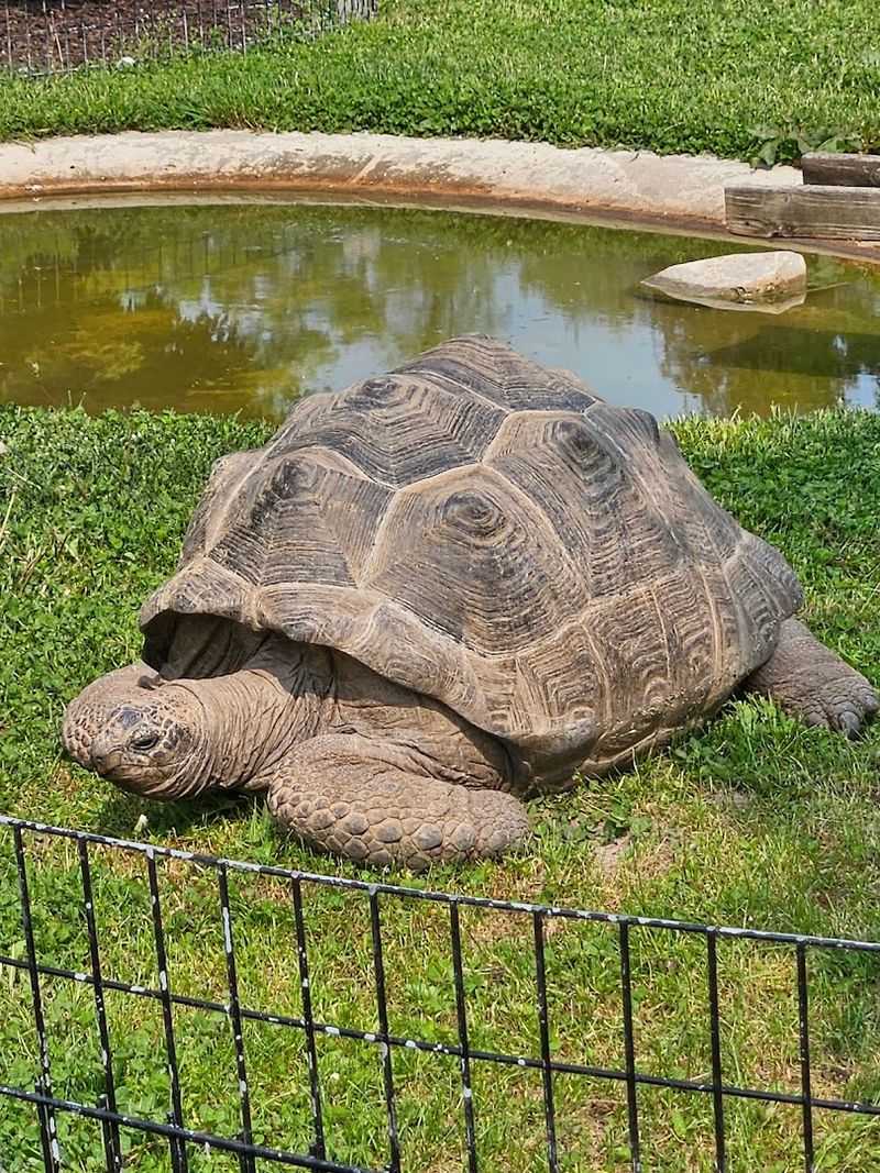 Helpful Extras and Insider Tips