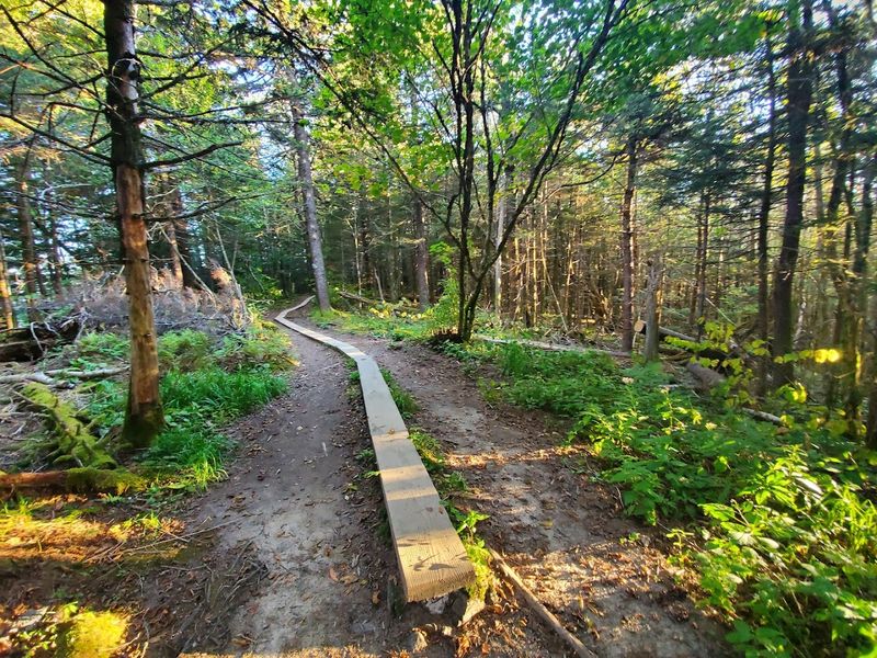 Great Smoky Mountains National Park (NC Side)