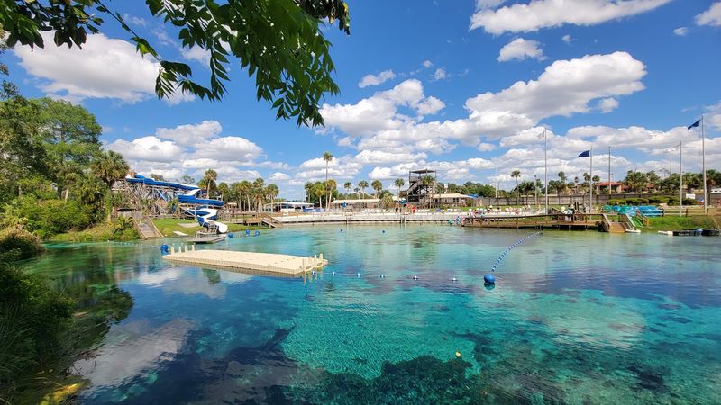 Weeki Wachee &ndash; Live Mermaids and Vintage Roadside Magic